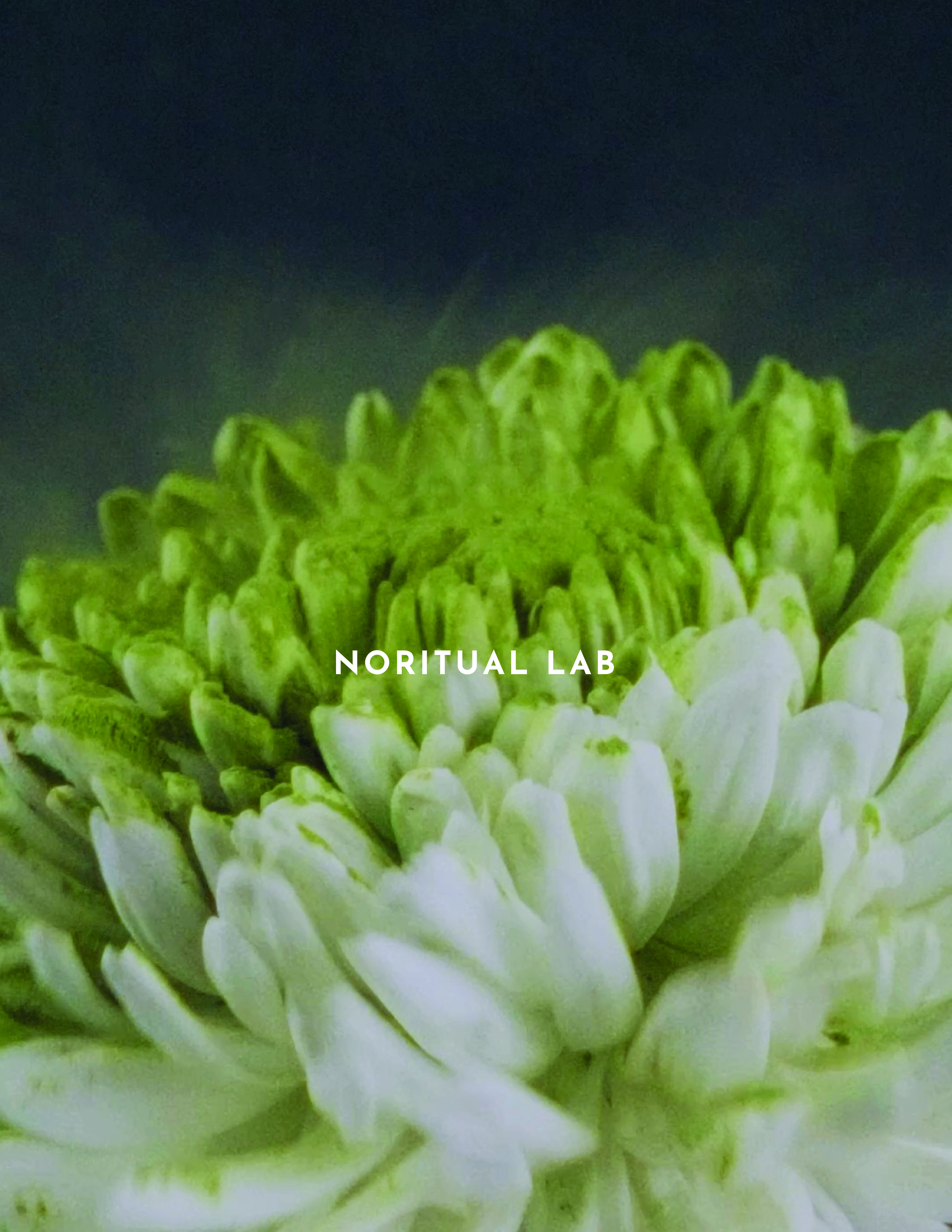 Tea/Room for One — Noritual Lab