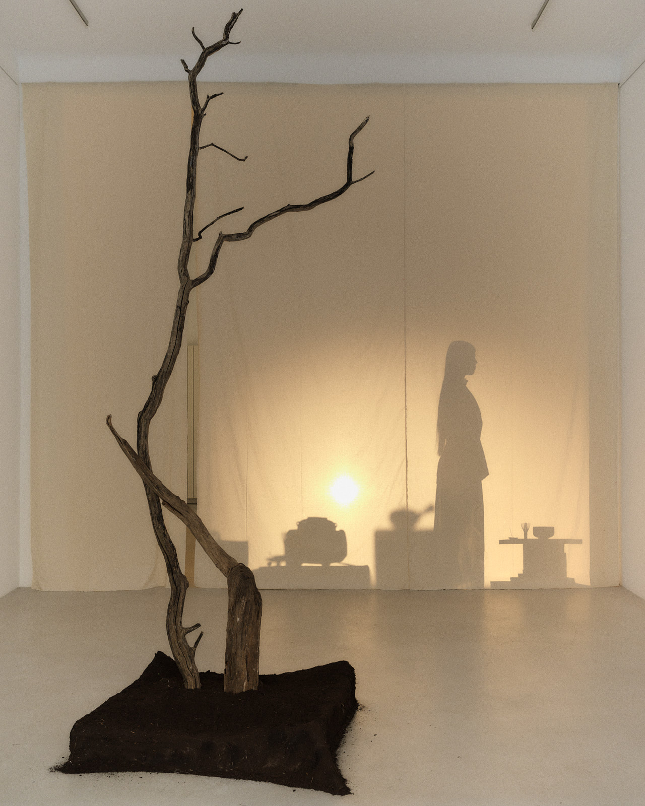 Sculptural tree installation